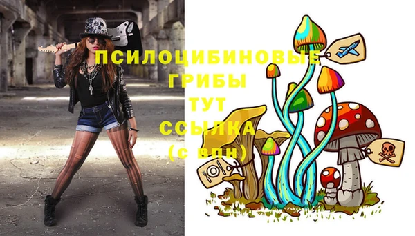 spice Волоколамск