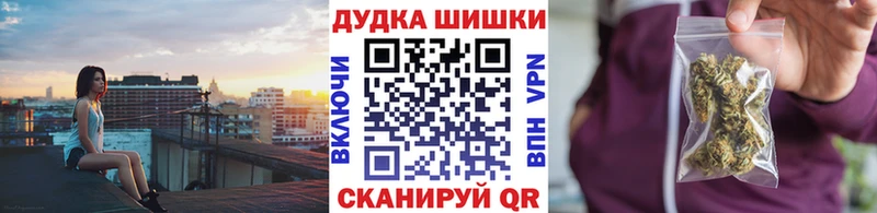 Бошки Шишки семена  Купить где  Сунжа 